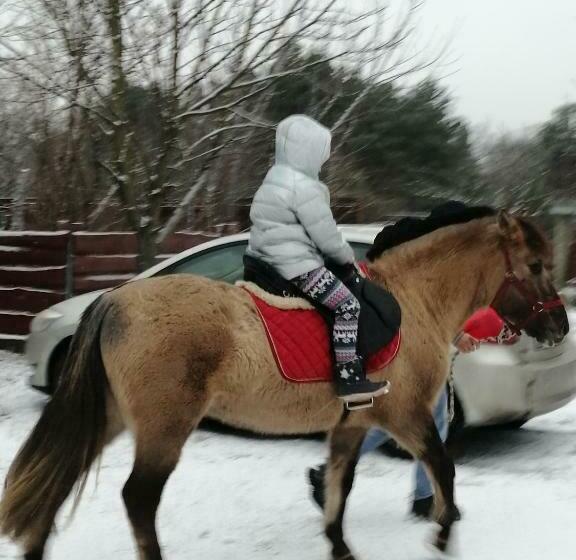 فندق Zacisze U Rysia