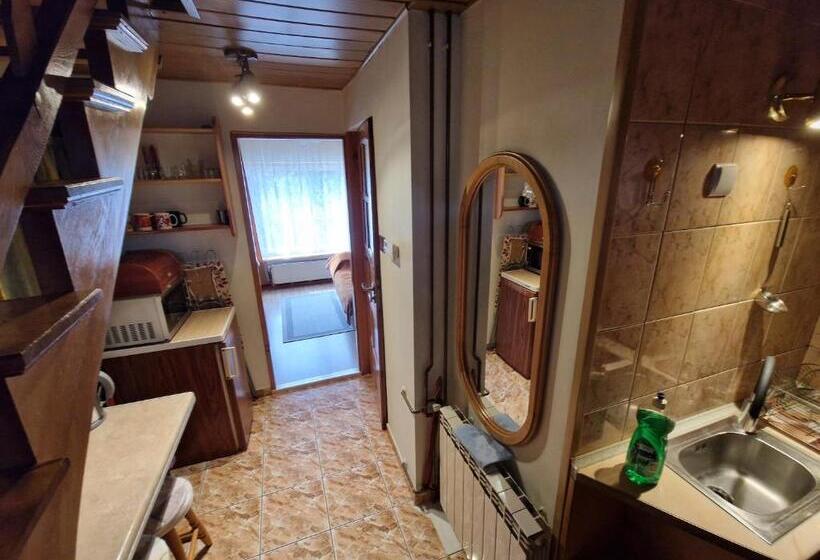 펜션 Pokój Pod Lasem U Ewki