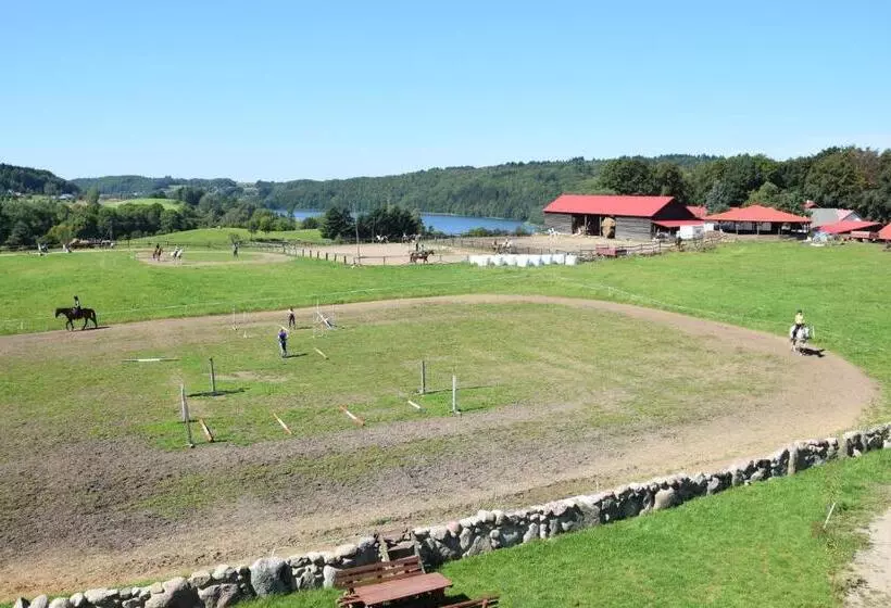 Pensjonat Kupperówka  Stadnina Koni Kolano