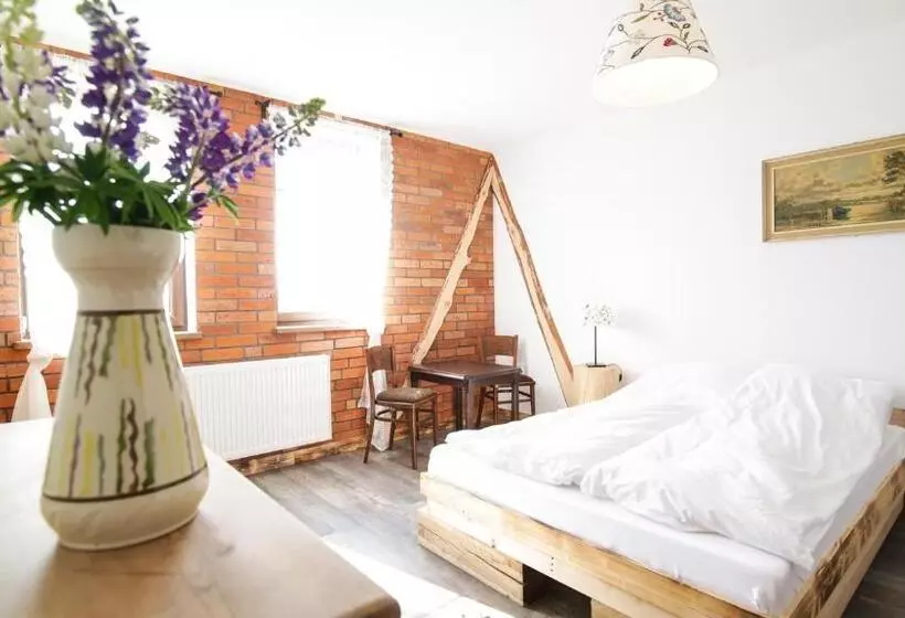 Pensjonat Kupperówka  Stadnina Koni Kolano