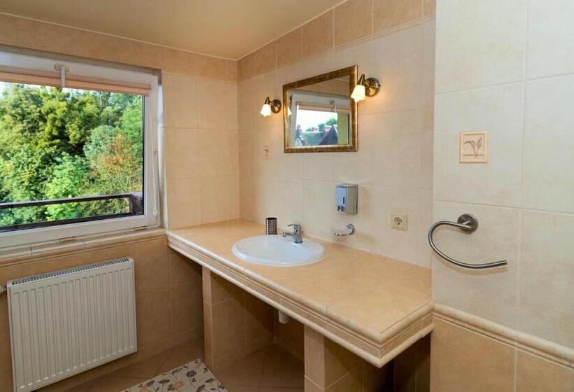 استراحتگاه Willa & Spa Odnova