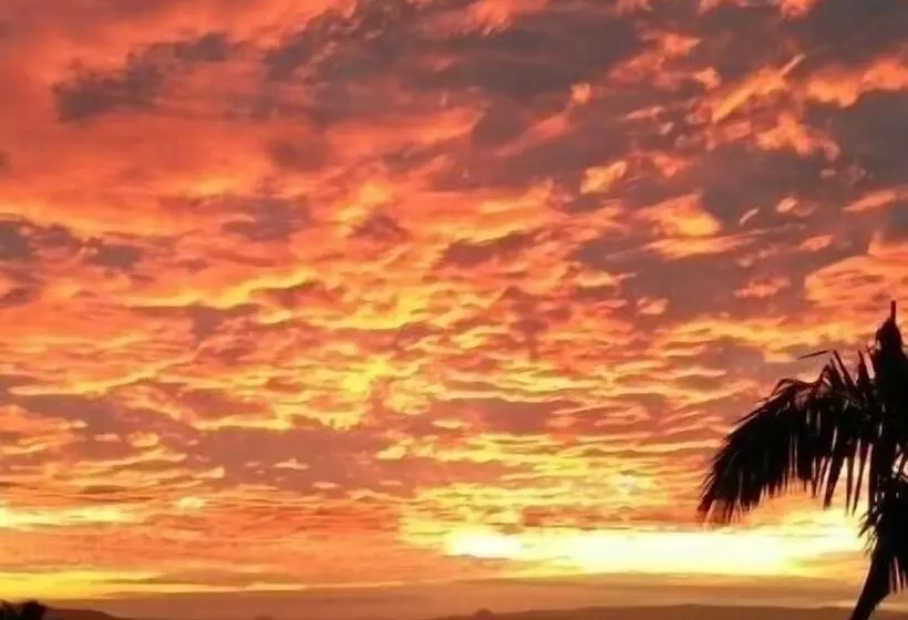 Bali Hai Apartments Noosa