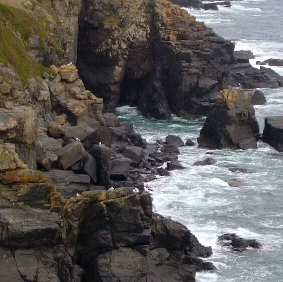 Nocleg ze śniadaniem Gallentreath Guest House