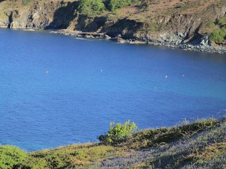 مبيت وإفطار Gallentreath Guest House