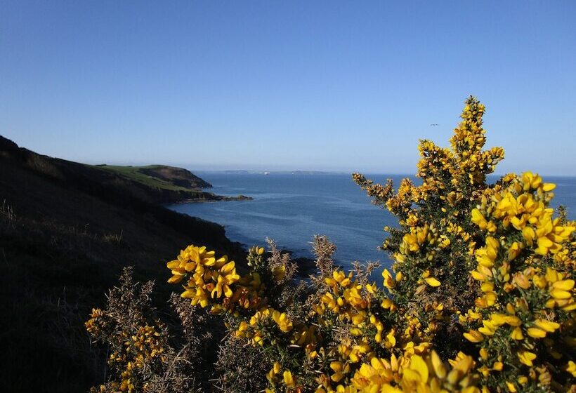 مبيت وإفطار Gallentreath Guest House