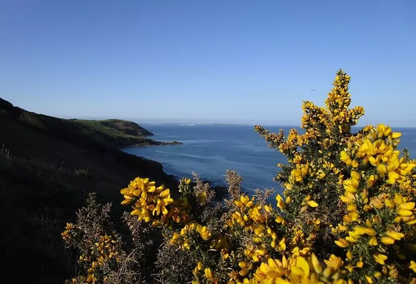 Nocleg ze śniadaniem Gallentreath Guest House