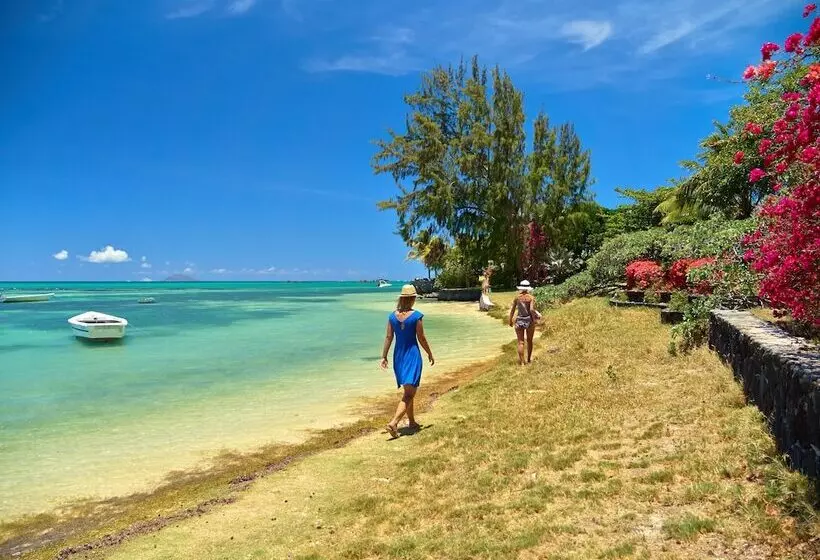 Cape Point Seafront Suites & Penthouse By Lov