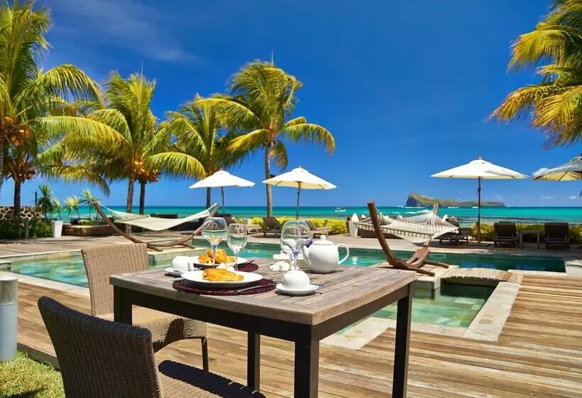 Cape Point Seafront Suites & Penthouse With Lov