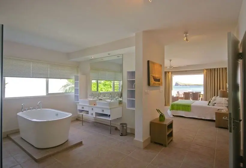 Cape Point Seafront Suites & Penthouse With Lov