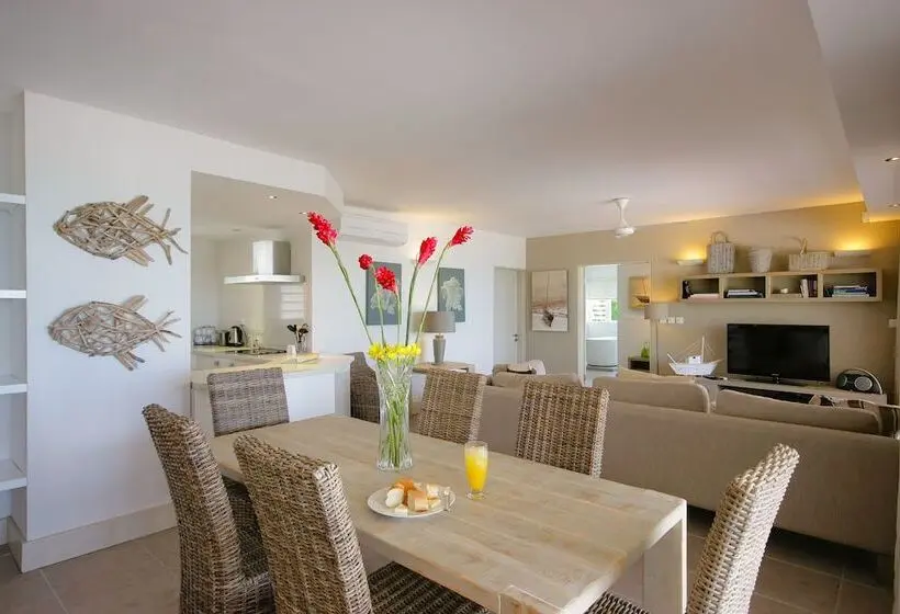 Cape Point Seafront Suites & Penthouse With Lov