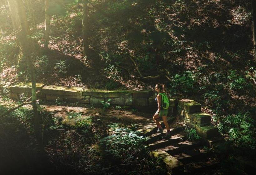 호텔 Artists Colony