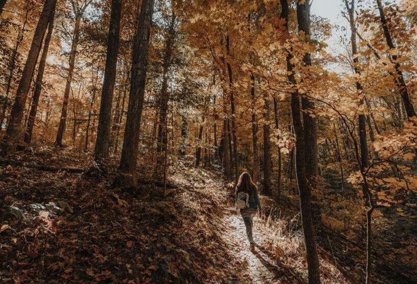 호텔 Artists Colony