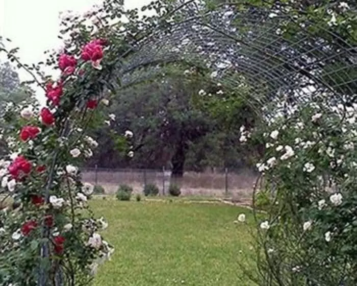 Otel The Crossroads Inn