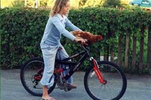 ホテル Marshspools Country Inn