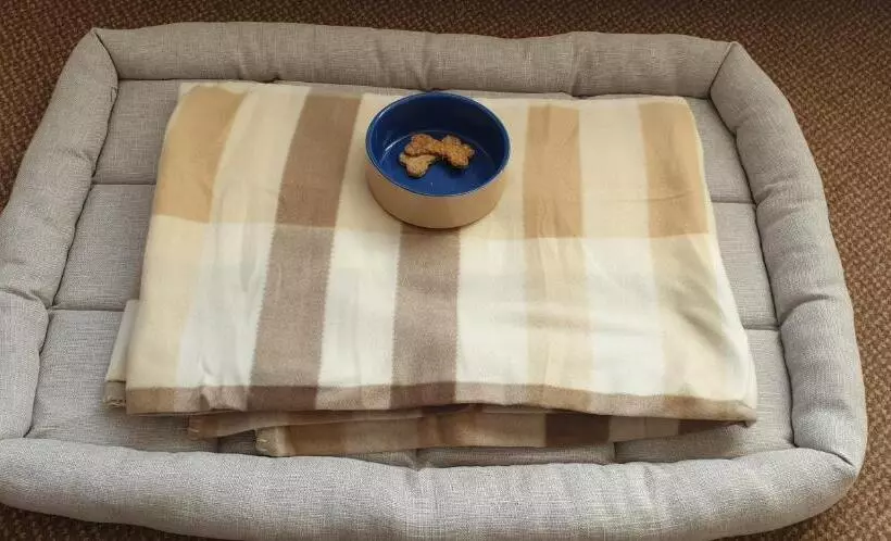 酒店 The George Inn