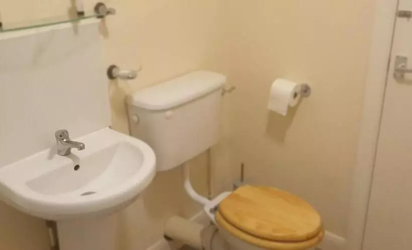 酒店 The George Inn