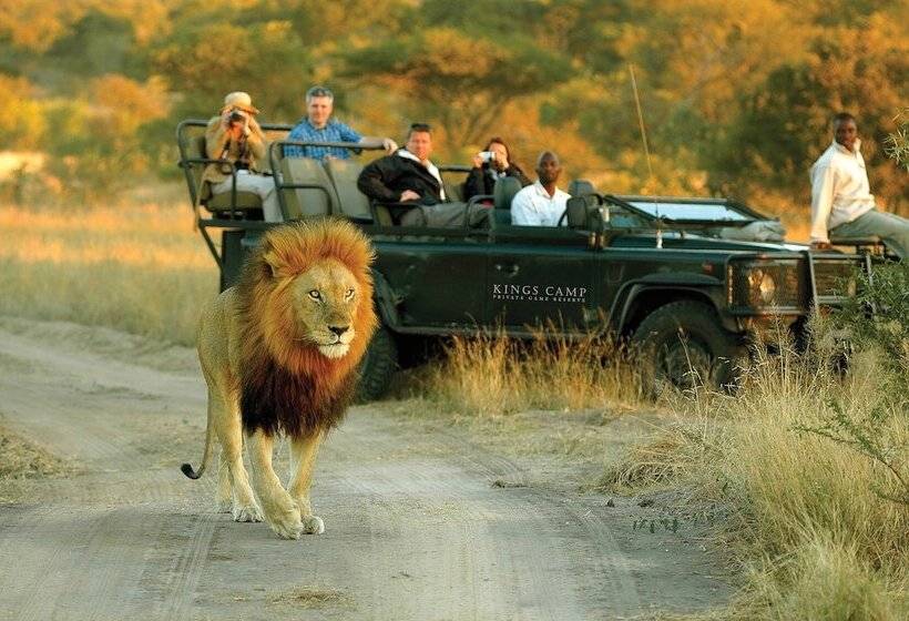 פנסיון Kings Camp