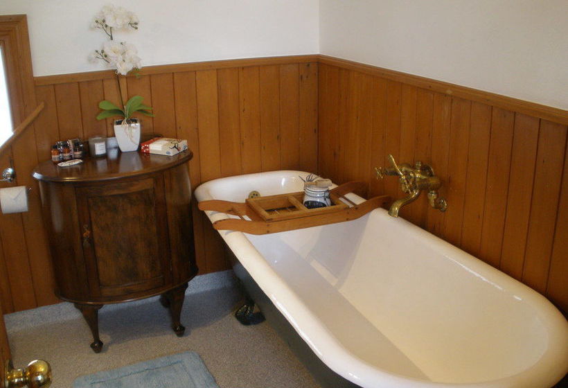 פנסיון Taiparoro House 1882