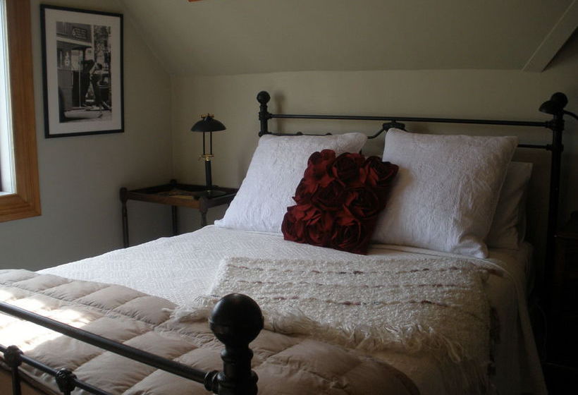 פנסיון Taiparoro House 1882