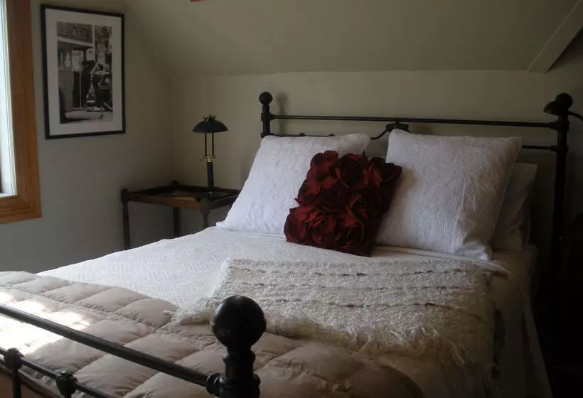 פנסיון Taiparoro House 1882