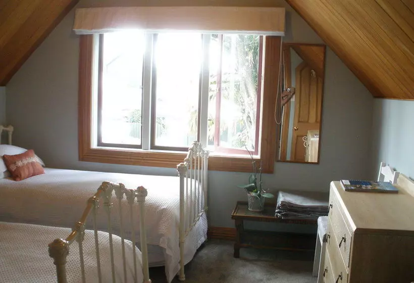 פנסיון Taiparoro House 1882