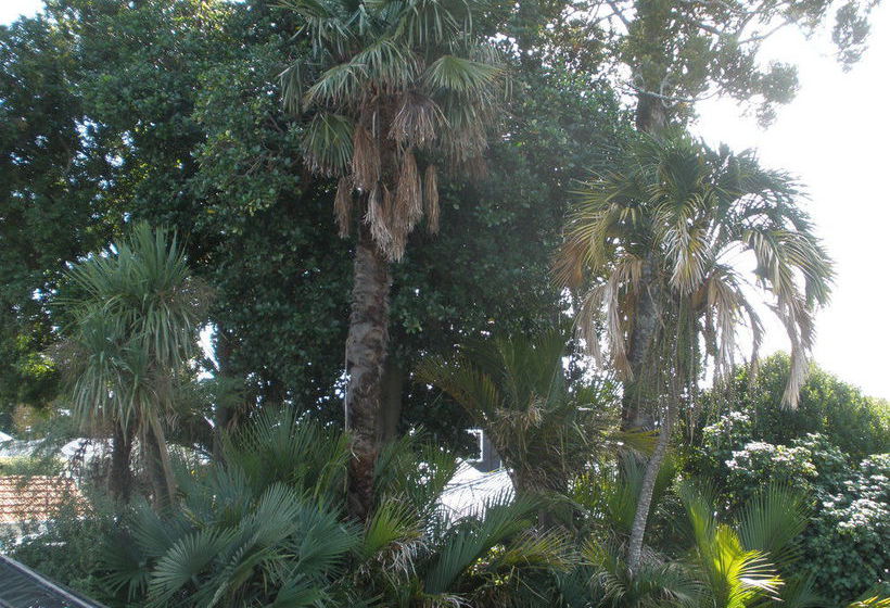 פנסיון Taiparoro House 1882