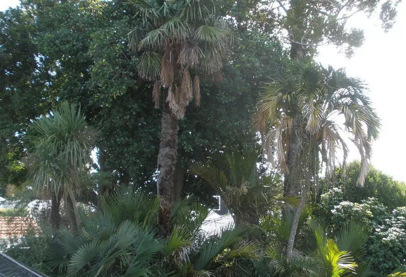 פנסיון Taiparoro House 1882