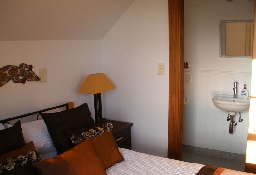 פנסיון Taiparoro House 1882