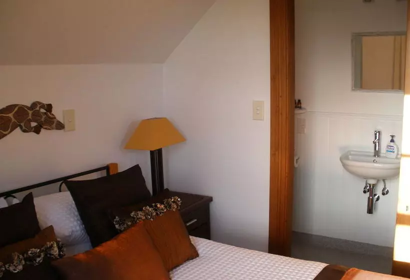 פנסיון Taiparoro House 1882