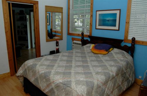 بنسيون The Beach Bungalow