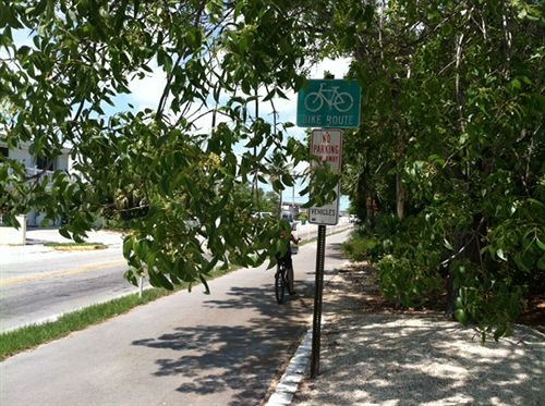 بنسيون The Beach Bungalow