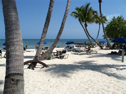 بنسيون The Beach Bungalow