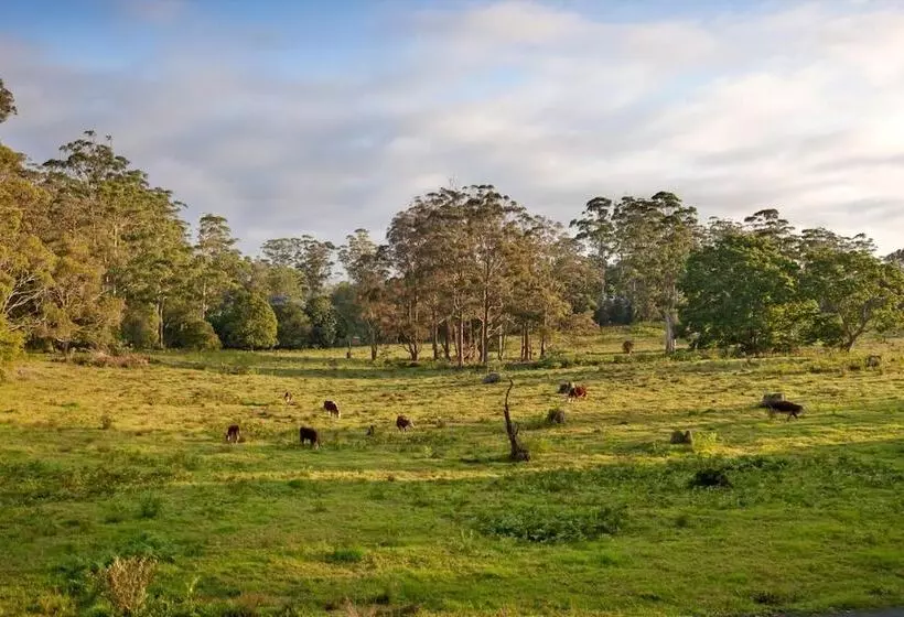 Пансион The Castle On Tamborine