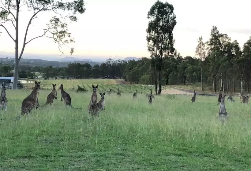 פנסיון Villa Provence