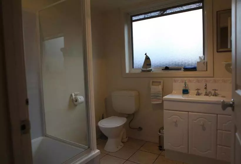 Sails On Port Sorell