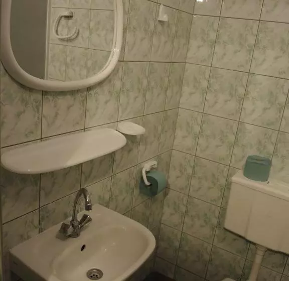 ベッドアンドブレックファースト Pokoje U Tosi I Czesia