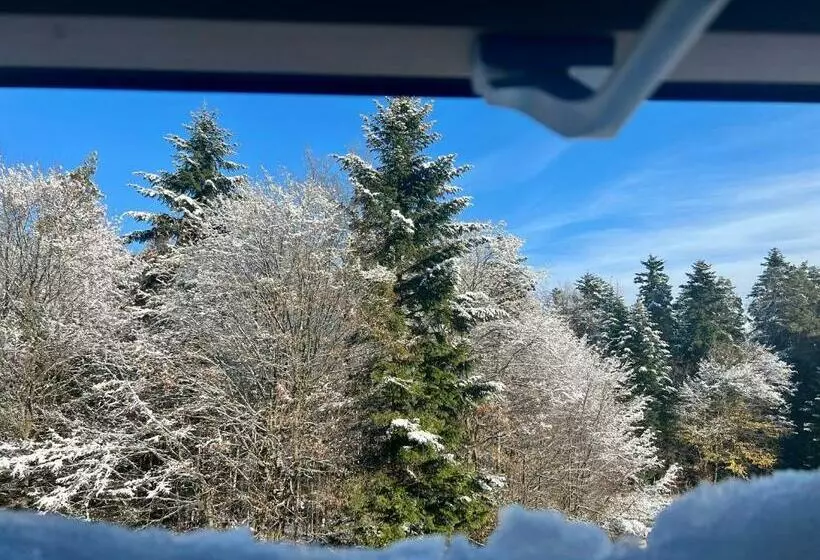 Aamiaismajoitus (B&B) Zagroda Na Pacanach