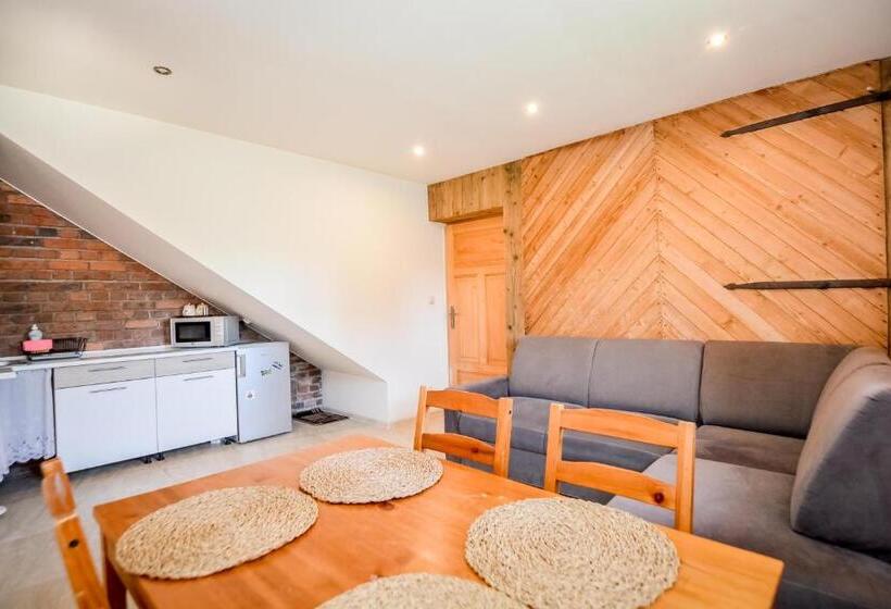 هتل Apartament 33 Poronin