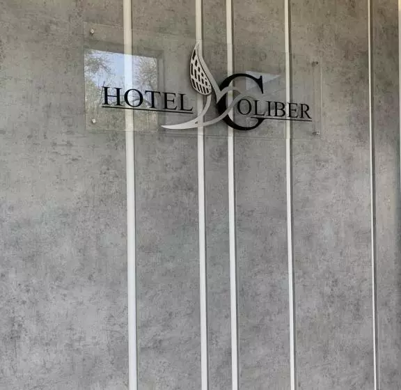 Hotelli Coliber