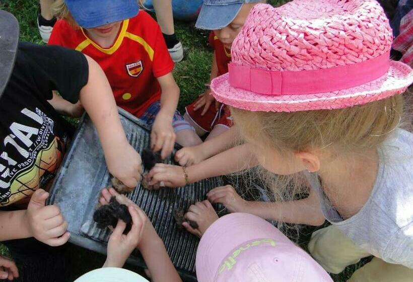 Отель Wioska Pod Kogutem