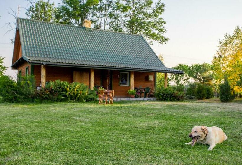 酒店 Zielona Dolina