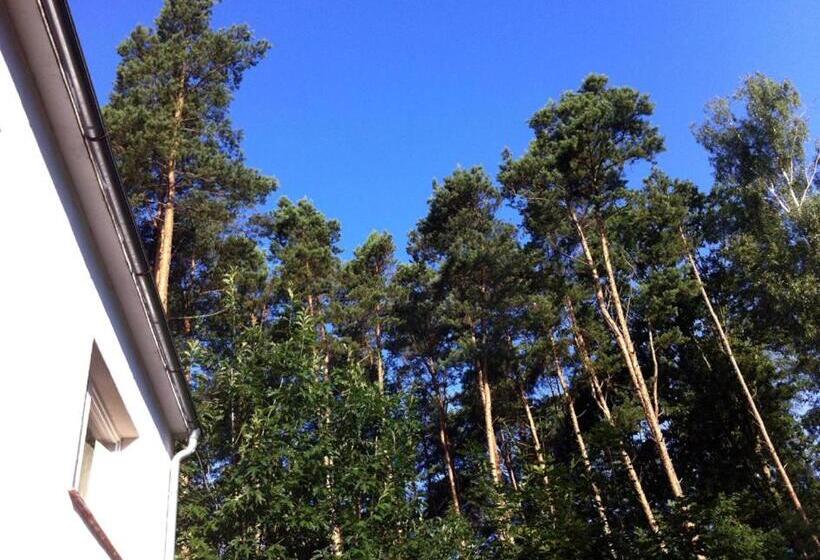 ペンション Willa Baltazar