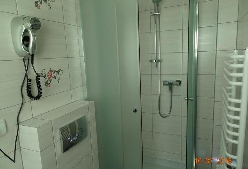 Пансион Willa Złoty Ogród