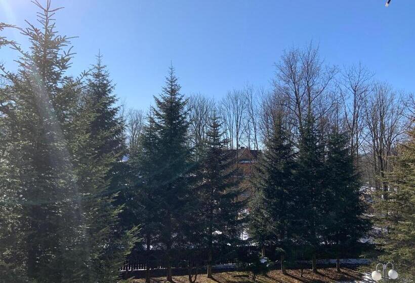 אתר נופש Ow Jaskółka