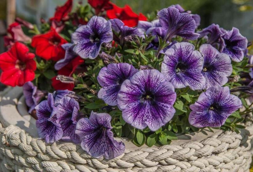 Общежитие Pod Wzgórzem Bed & Breakfast