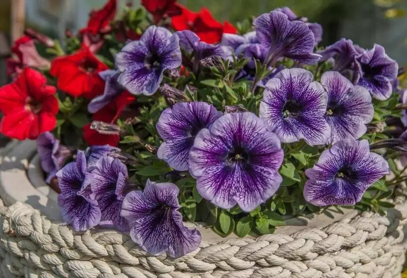 ユースホステル Pod Wzgórzem Bed & Breakfast