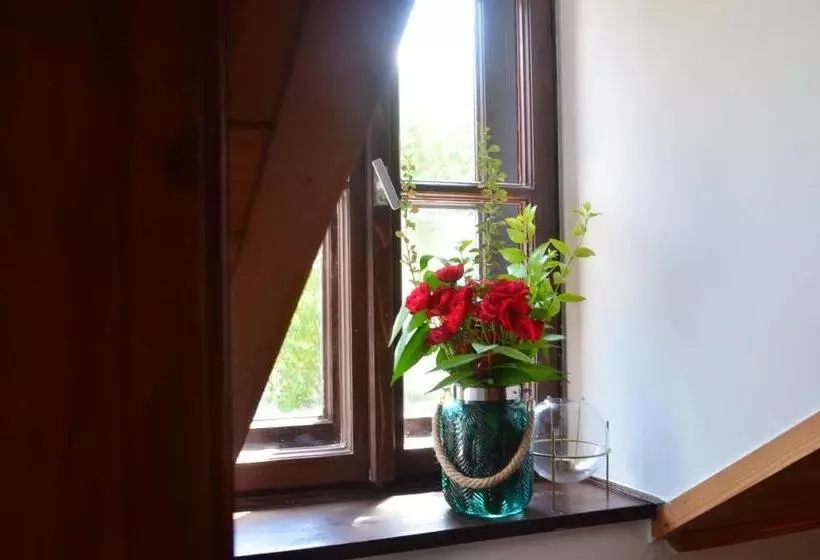 Apartamenty W Dworku Cheval