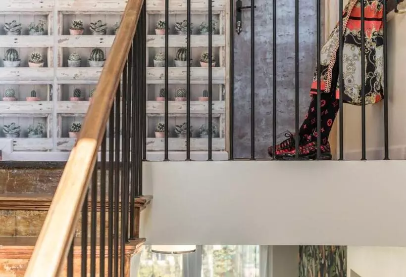 ベッドアンドブレックファースト 5 Kroków