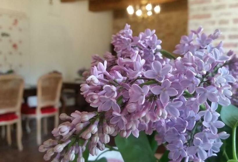 Bed and Breakfast Stara Papiernia Zielony Lasek