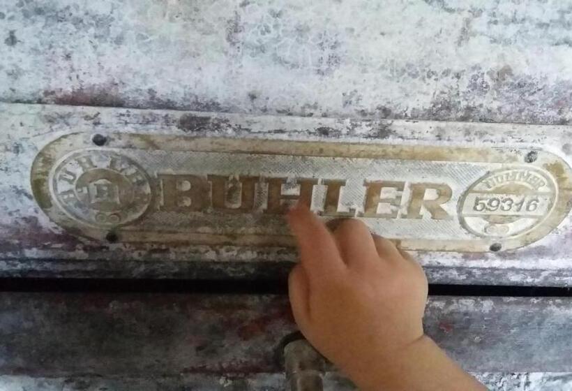 Bed and Breakfast Stara Papiernia Zielony Lasek